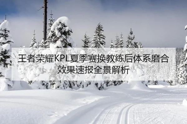 王者荣耀KPL夏季赛换教练后体系磨合效果速报全景解析